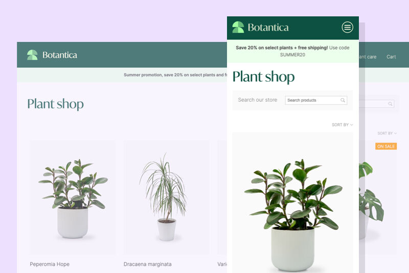An illustration of an online store selling plants.